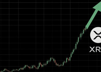 リップル 今後：IQ世界記録保持者が2026年に向けた新高値到達を予測