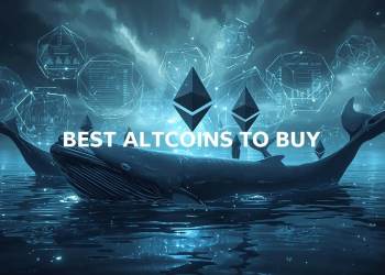 Check Out the Best Altcoins to Buy as Whales Return and Buy Up Ethereum.
