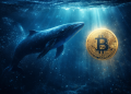 Bitcoin Whales