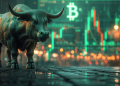 bitcoin bull run