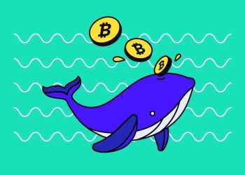 Co Kupują Wieloryby Kryptowalutowe dla Potencjalnych Zysków w Grudniu 2025