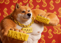 สุนัข Doge กล้ามใหญ่สวมสร้อยทองใส่สนับ Maxi Doge