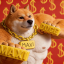 สุนัข Doge กล้ามใหญ่สวมสร้อยทองใส่สนับ Maxi Doge