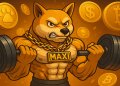 Bitcoin Kursalarm: Maxi Doge (MAXI) Presale kurz vor Jahresende, letzter Einstieg vor dem Hype?