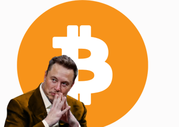 Musk: «Bitcoin Incarna quella che è la Vera Moneta di quest’epoca»