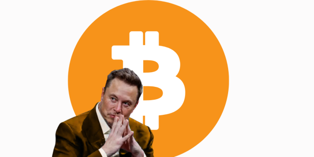 Musk: «Bitcoin Incarna quella che è la Vera Moneta di quest’epoca ...