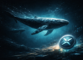 XRP Whale