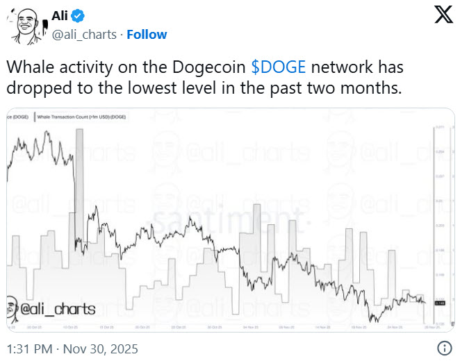 กิจกรรมวาฬ Dogecoin เงียบสุดในรอบ 2 เดือน