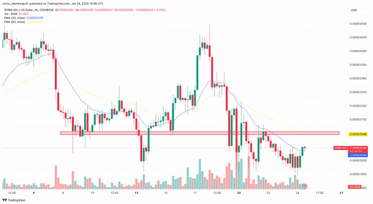 シバイヌは厳しい局面が続く