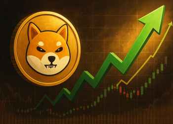 シバコイン 今後：バーン率217％急増も価格は無反応