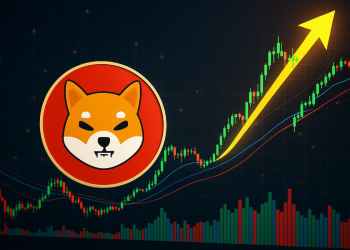 シバコイン 今後：市場は失望ムードだがチャート形状は大幅反発の可能性を示唆