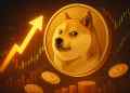 ドージコイン 今後：0.75ドル予測と下落圧力の交錯で市場は重大局面を迎える