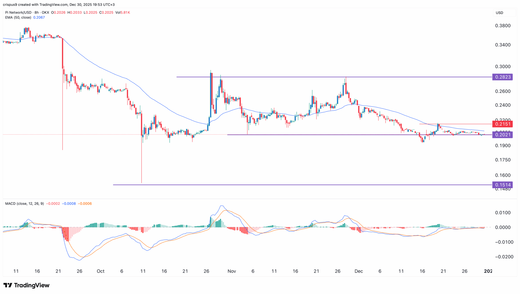 パイネットワーク 価格のテクニカル分析