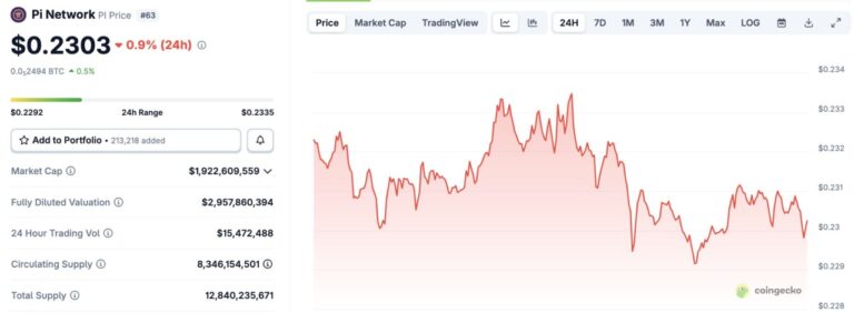 パイネットワーク 価格は24時間で0.9％下落