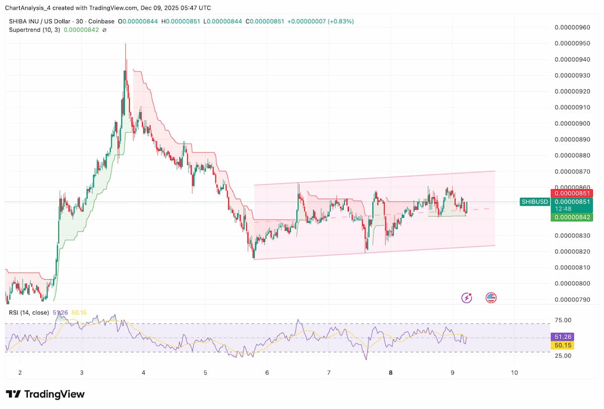 今後の見通し：シバコインは上昇するか