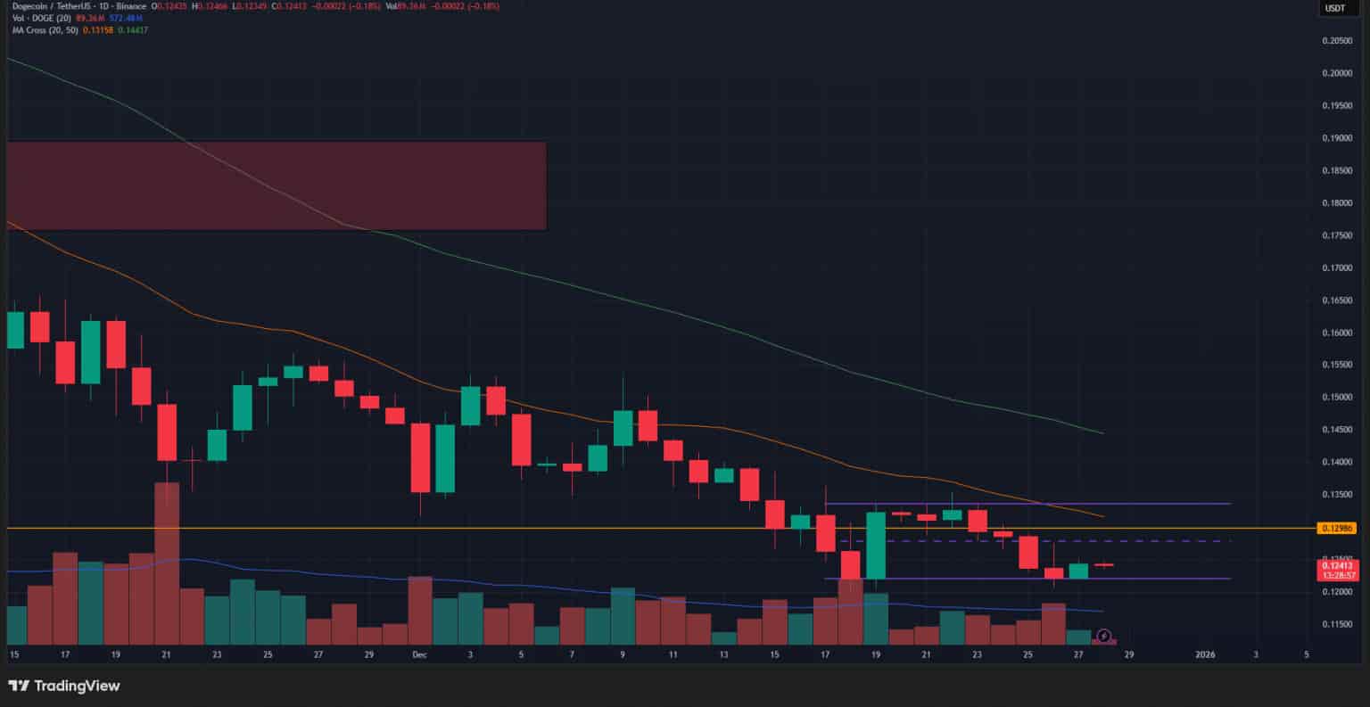 広範な弱気トレンドの中での価格整理