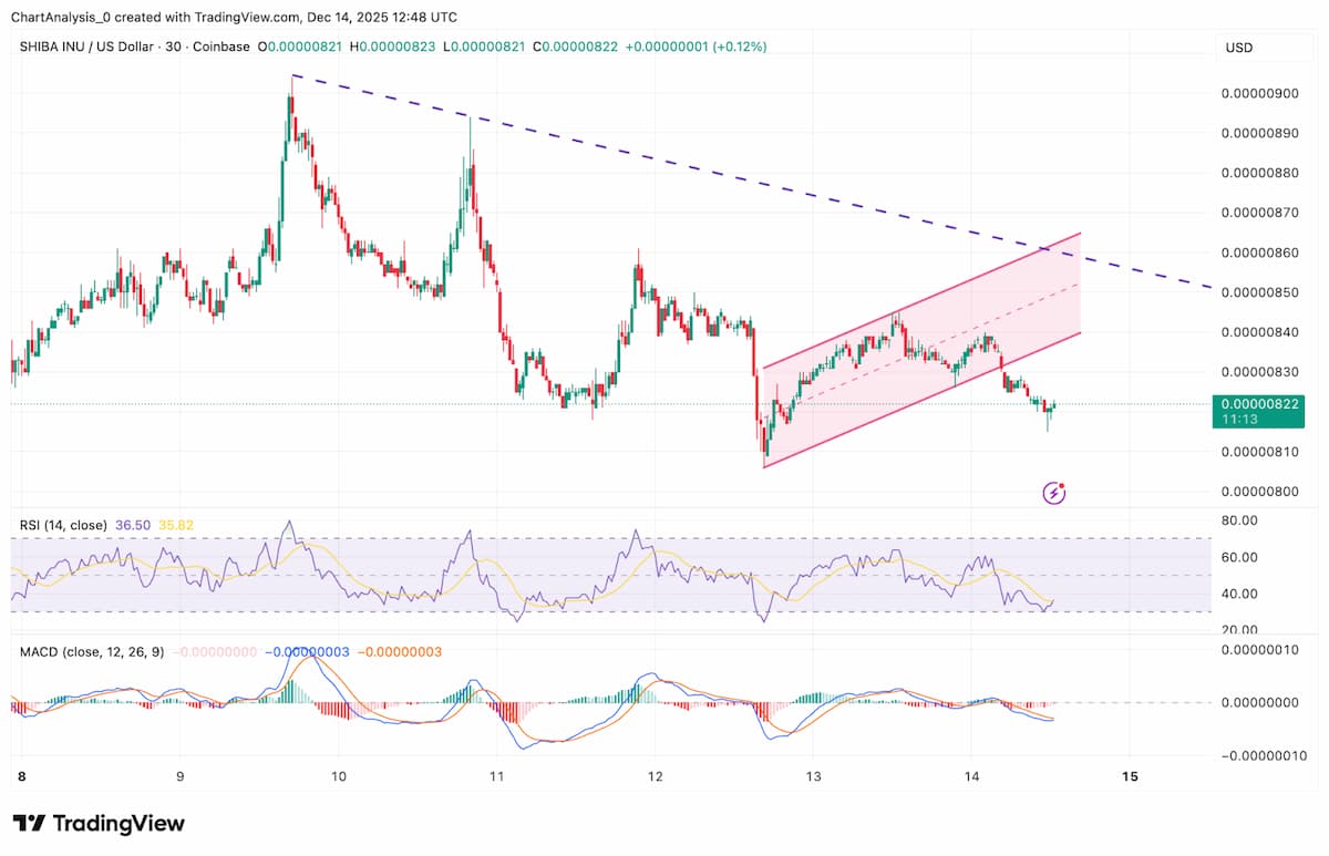 短期チャートでは反発の勢いが鈍化