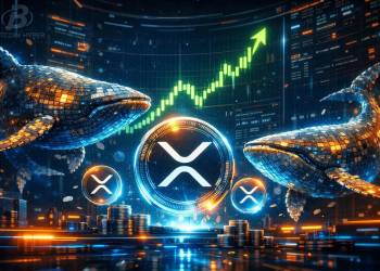 大口投資家が三十六億ドルを買い増し、チャートは強気転換──市場が見逃した底値か