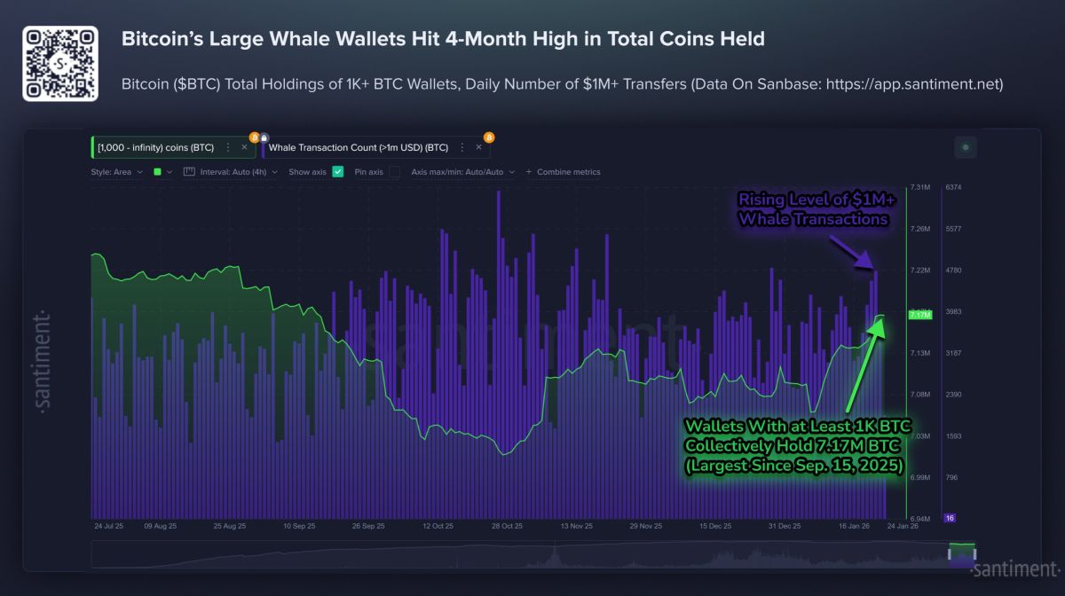 Large Bitcoin Holders Drive Accumulation, Hinting at Rebound