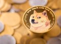 Dogecoin Ausblick: Steht bis 2026 der große Ausbruch bevor – oder überholt ein Presale wie Pepenode DOGE?