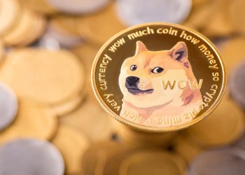 Dogecoin Ausblick: Steht bis 2026 der große Ausbruch bevor – oder überholt ein Presale wie Pepenode DOGE?
