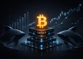 仮想通貨 投資の有力候補、Bitcoin Hyperが3000万ドル突破　クジラの蓄積進む