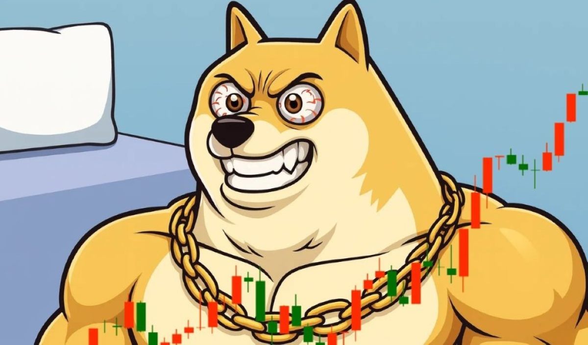 Maxi Doge Presale im Januar