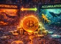 Bitcoin Whales Flip From Distribution To Early Re-Accumulation – Details