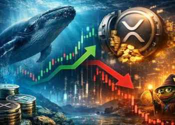 XRP Whale Volume Bereikt All-time High, Stijgt Of Daalt De Ripple Koers Hierdoor?