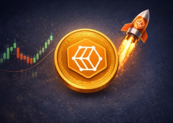 공포장 속 홀로 켠 ‘탐욕의 불빛’… 체인바운티(BOUNTY), 하루 새 100% 폭등의 이면