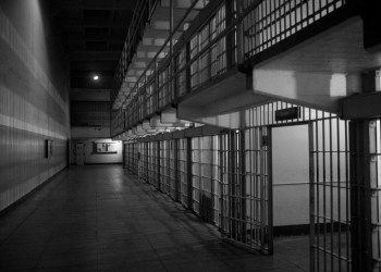 Bitfinex Hack Mastermind Released Early From Prison, Credits 2018 Trump Law – Details