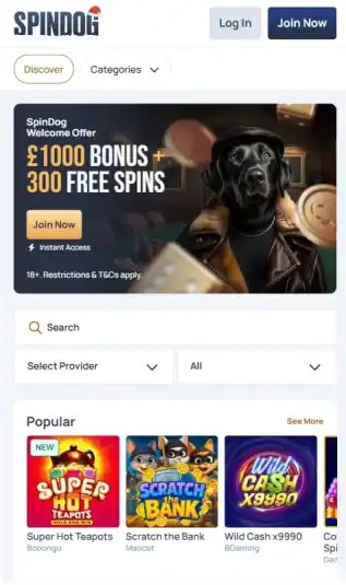 Screenshot of Curacao Casino not on Gamstop Spindog
