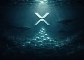 XRP Whales