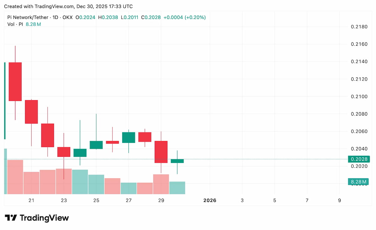 パイネットワーク 価格の現状