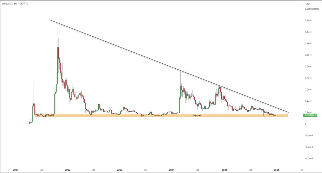 価格回復が示す初期シグナルと残る不確実性