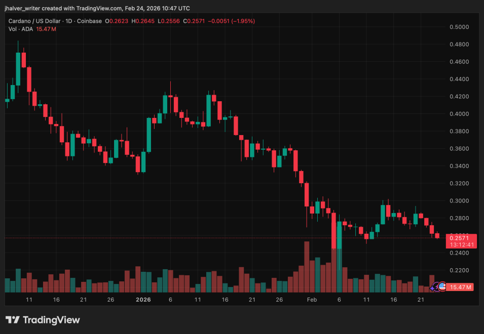 Cardano Gains Institutional Momentum as Smart Contract Fund Exposure Surges
