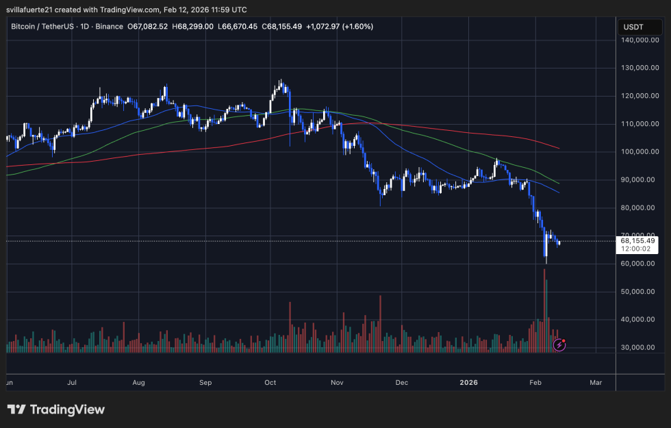 BTC testing critical liquidity | Source: BTCUSDT chart on TradingView