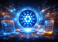 Cardano news