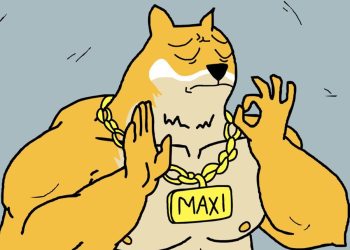 Best Meme Coins 2026: Why Traders Are Rotating Into Maxi Doge