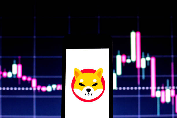 Shiba Inu Dev Reveals What The Main Focus Should Be As Price Crash Continues