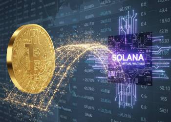 Top Altcoins für deutsche Anleger: Worauf es 2026 ankommt