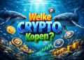 Welke crypto kopen