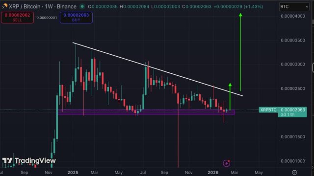 XRP Chart from Bird