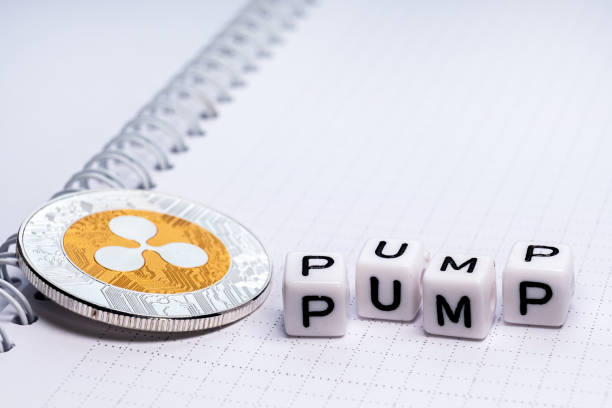 Expert Says If You Hold XRP, Pay Attention To These Things