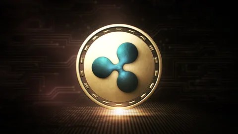 XRP Sees Re-Accumulation Signals From Korean Trading Desks As Traders Quietly Build Positions