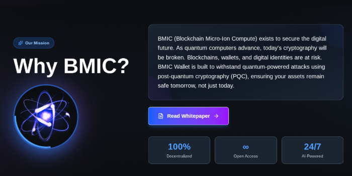 Mission du projet BMIC.