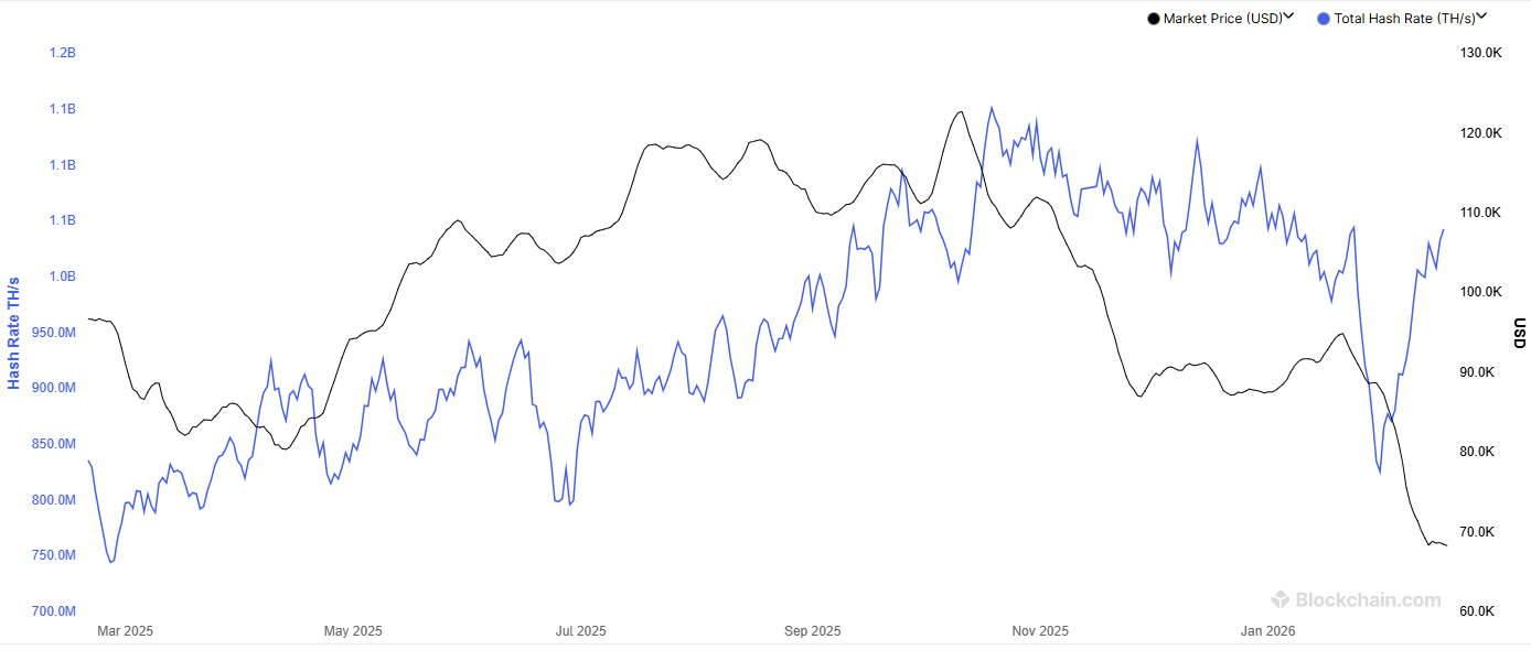 Taux de hachage minier Bitcoin