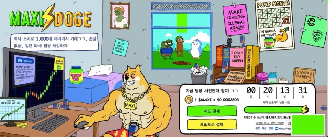 맥시도지 홈페이지