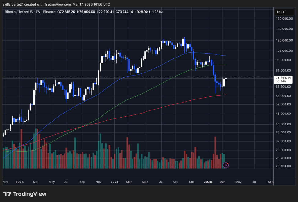  BTCUSDT testing TradingView