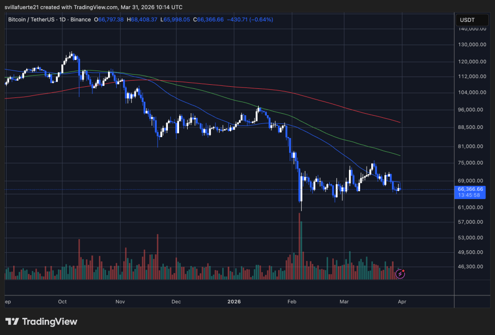 BTC testing critical demand level | Source: BTCUSDT chart on TradingView